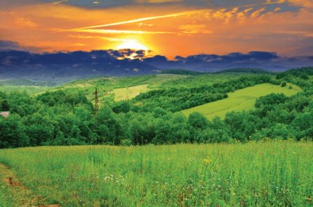 Encourage Biodiversity With Ecological Farming Image